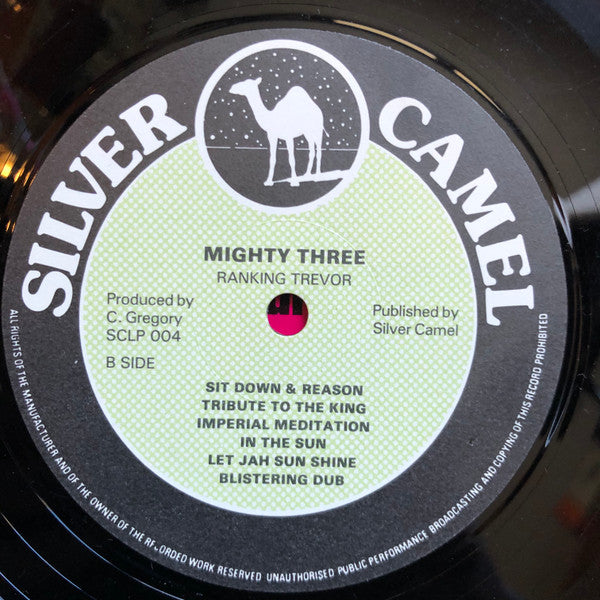 Various ~ Roots Reggae Party Vol. 2 (Vinyl) - Djungel & Jazz