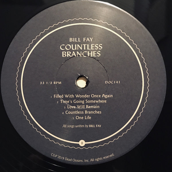 Bill Fay ~ Countless Branches (Vinyl) - Djungel & Jazz