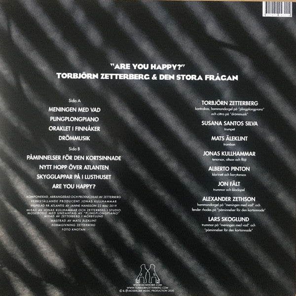 Torbjörn Zetterberg & Den Stora Frågan ~ Are You Happy? (Vinyl) - Djungel & Jazz