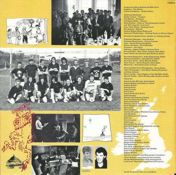 The Waterboys : Room To Roam (LP, Album)