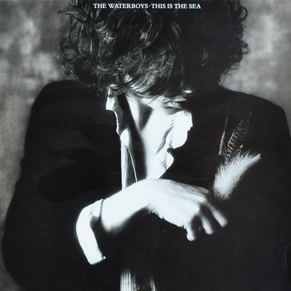 The Waterboys : This Is The Sea (LP, Album)