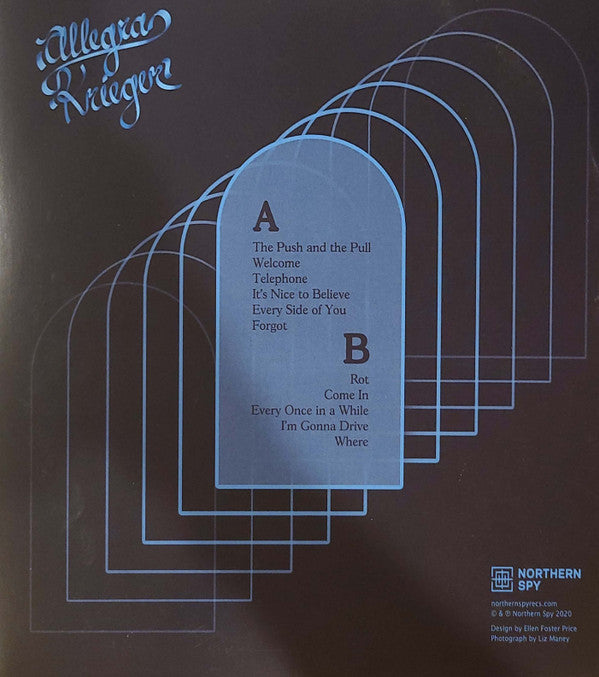 Allegra Krieger : The Joys of Forgetting (LP, Album)