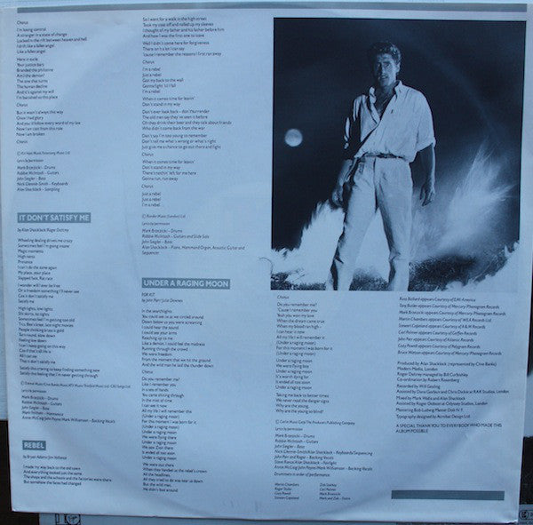 Roger Daltrey ~ Under A Raging Moon (Vinyl) - Djungel & Jazz