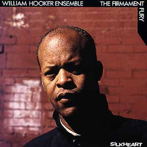 William Hooker Ensemble ~ The Firmament / Fury (Vinyl) - Djungel & Jazz