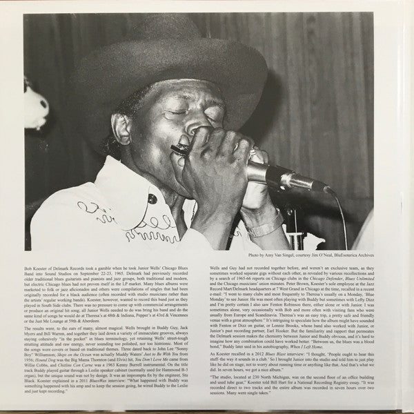 Junior Wells' Chicago Blues Band ~ Hoodoo Man Blues (Vinyl) - Djungel & Jazz