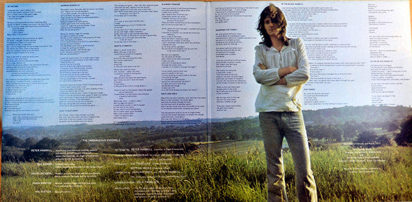 Peter Hammill ~ Chameleon In The Shadow Of The Night (Vinyl) - Djungel & Jazz