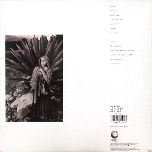 Rickie Lee Jones ~ Flying Cowboys (Vinyl) - Djungel & Jazz