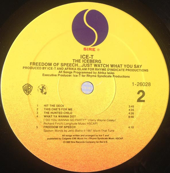 Ice-T ~ The Iceberg (Freedom Of Speech... Just Watch What You Say) (Vinyl) - Djungel & Jazz