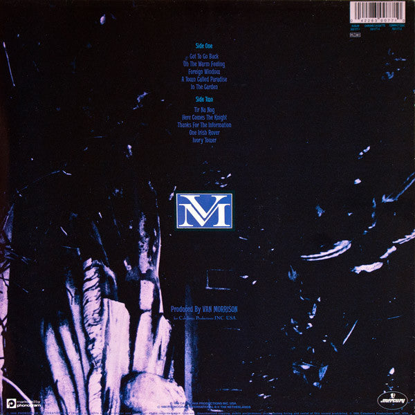 Van Morrison : No Guru, No Method, No Teacher (LP, Album)