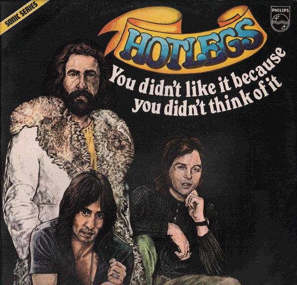 Hotlegs ~ You Didn't Like It Because You Didn't Think Of It (Vinyl) - Djungel & Jazz