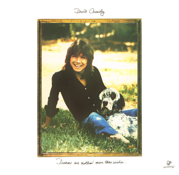 David Cassidy ~ Dreams Are Nuthin' More Than Wishes... (Vinyl) - Djungel & Jazz