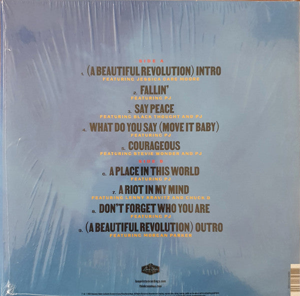 Common ~ A Beautiful Revolution (Pt 1) (Vinyl) - Djungel & Jazz