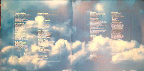 Peter Green  ~ In The Skies (Vinyl) - Djungel & Jazz
