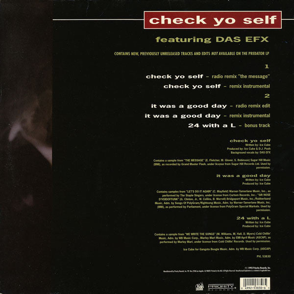 Ice Cube Featuring Das EFX ~ Check Yo Self (Vinyl) - Djungel & Jazz