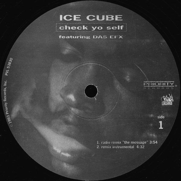 Ice Cube Featuring Das EFX ~ Check Yo Self (Vinyl) - Djungel & Jazz