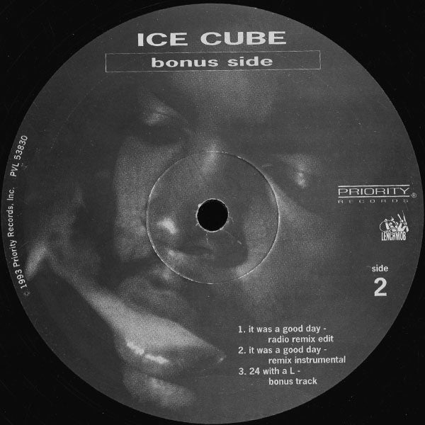 Ice Cube Featuring Das EFX ~ Check Yo Self (Vinyl) - Djungel & Jazz