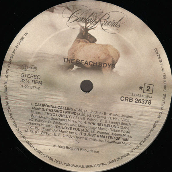 The Beach Boys ~ The Beach Boys (Vinyl) - Djungel & Jazz