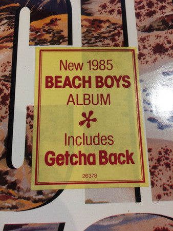 The Beach Boys ~ The Beach Boys (Vinyl) - Djungel & Jazz