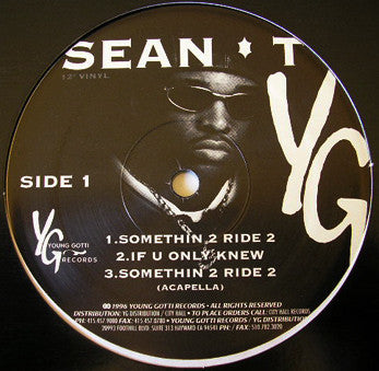 Sean T (2) : Pimp Lyrics & Dollar Signs (Vinyl, EP)
