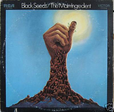 The Main Ingredient ~ Black Seeds (Vinyl) - Djungel & Jazz