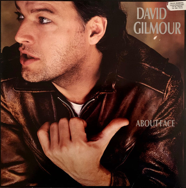 David Gilmour ~ About Face (Vinyl) - Djungel & Jazz