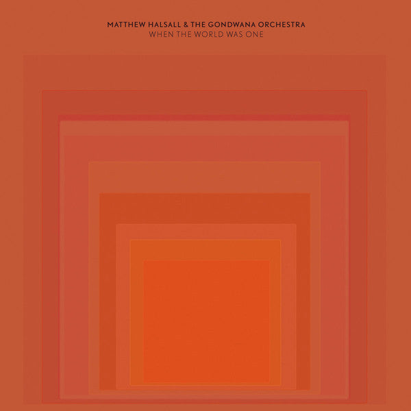 Matthew Halsall & The Gondwana Orchestra ~ When The World Was One (Vinyl) - Djungel & Jazz