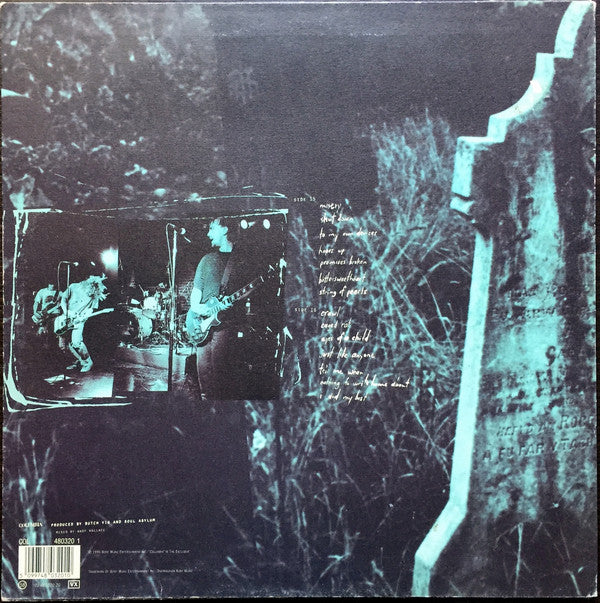 Soul Asylum  ~ Let Your Dim Light Shine (Vinyl) - Djungel & Jazz