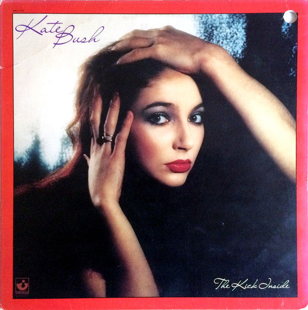 Kate Bush ~ The Kick Inside (Vinyl) - Djungel & Jazz