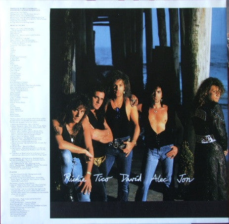 Bon Jovi ~ New Jersey (Vinyl) - Djungel & Jazz