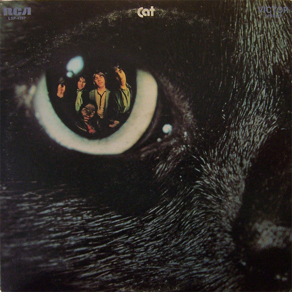 Cat  ~ Cat (Vinyl) - Djungel & Jazz