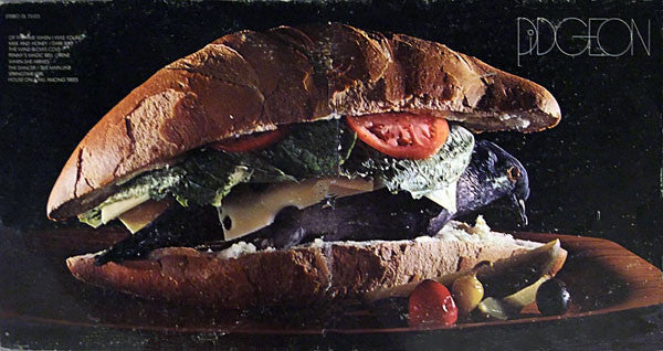 Pidgeon  ~ Pidgeon (Vinyl) - Djungel & Jazz