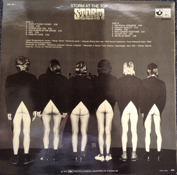 Storm  ~ Storm At The Top (Vinyl) - Djungel & Jazz