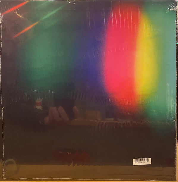 Ty Segall ~ Harmonizer (Vinyl) - Djungel & Jazz