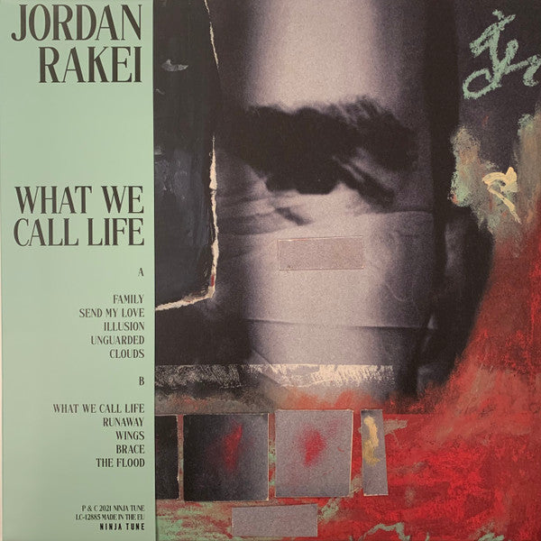 Jordan Rakei ~ What We Call Life (Vinyl) - Djungel & Jazz