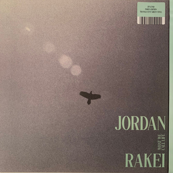 Jordan Rakei ~ What We Call Life (Vinyl) - Djungel & Jazz