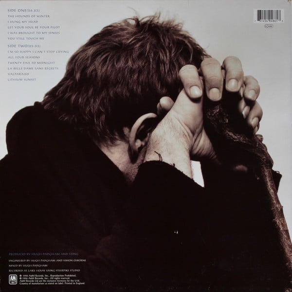 Sting ~ Mercury Falling (Vinyl) - Djungel & Jazz