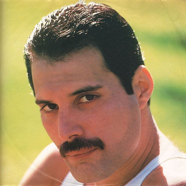 Freddie Mercury ~ Mr. Bad Guy (Vinyl) - Djungel & Jazz