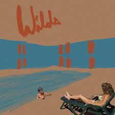 Andy Shauf : Wilds (LP, Album)