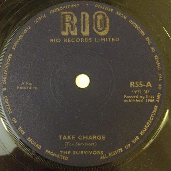 The Survivors (3) : Take Charge / Skaology (7")