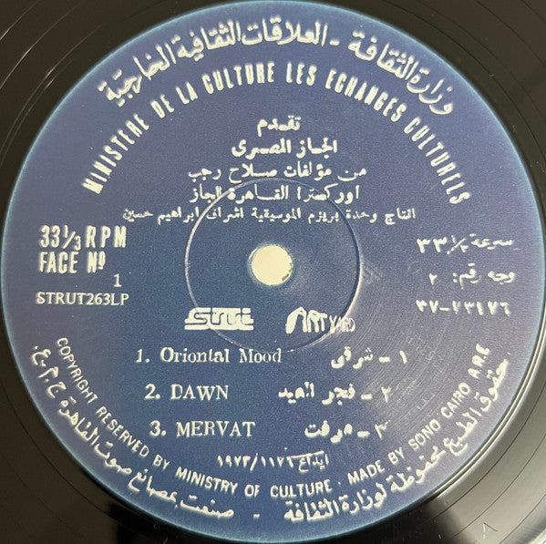 Salah Ragab & The Cairo Jazz Band ~ Egypt Strut (Vinyl) - Djungel & Jazz