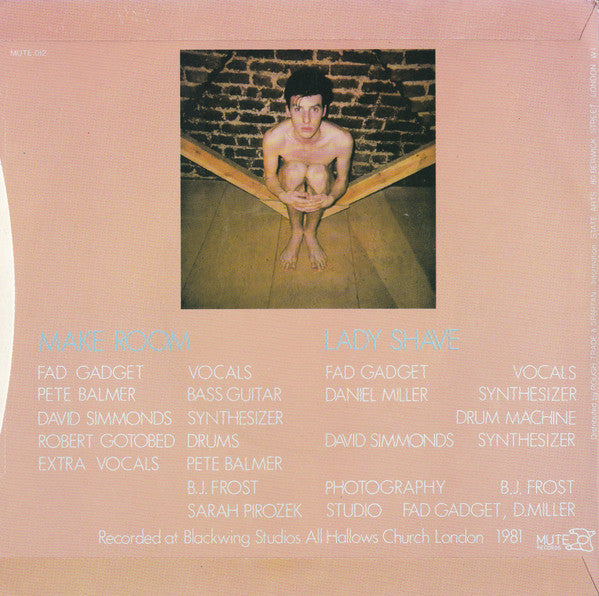 Fad Gadget ~ Make Room (Vinyl) - Djungel & Jazz