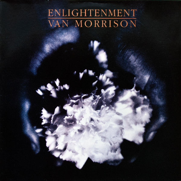 Van Morrison ~ Enlightenment (Vinyl) - Djungel & Jazz