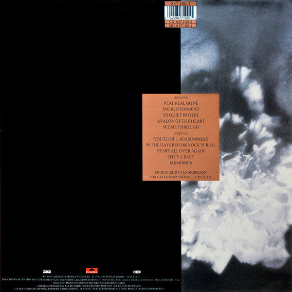 Van Morrison ~ Enlightenment (Vinyl) - Djungel & Jazz