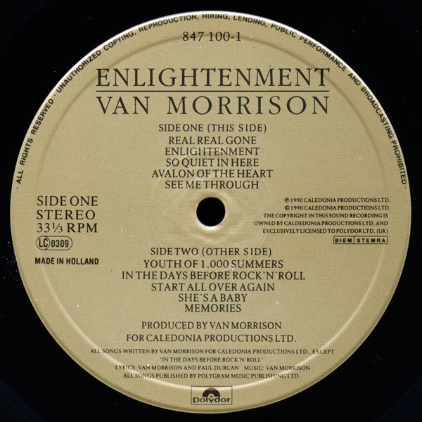 Van Morrison ~ Enlightenment (Vinyl) - Djungel & Jazz