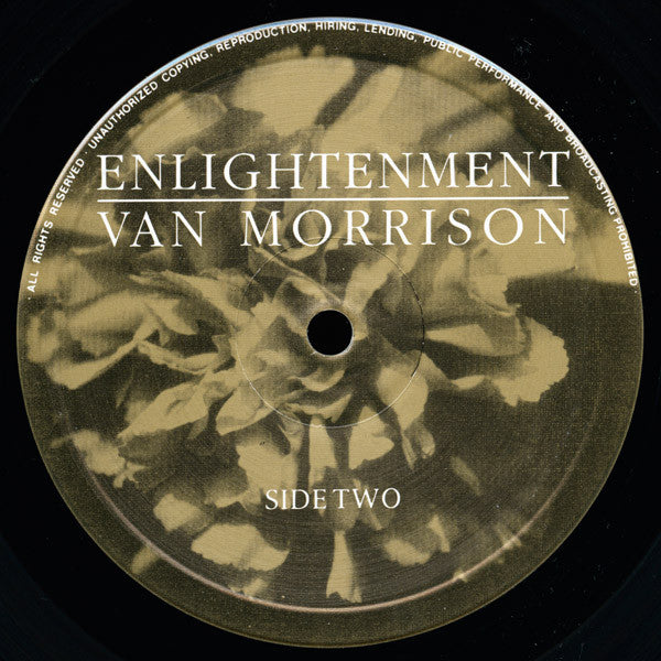 Van Morrison ~ Enlightenment (Vinyl) - Djungel & Jazz
