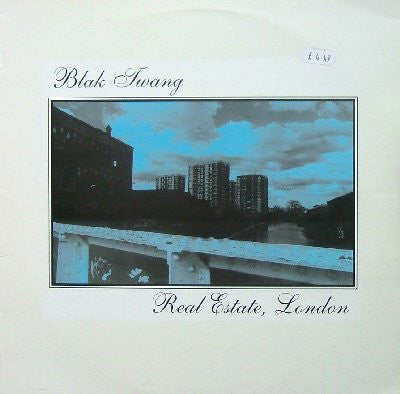 Blak Twang ~ Real Estate (Vinyl) - Djungel & Jazz