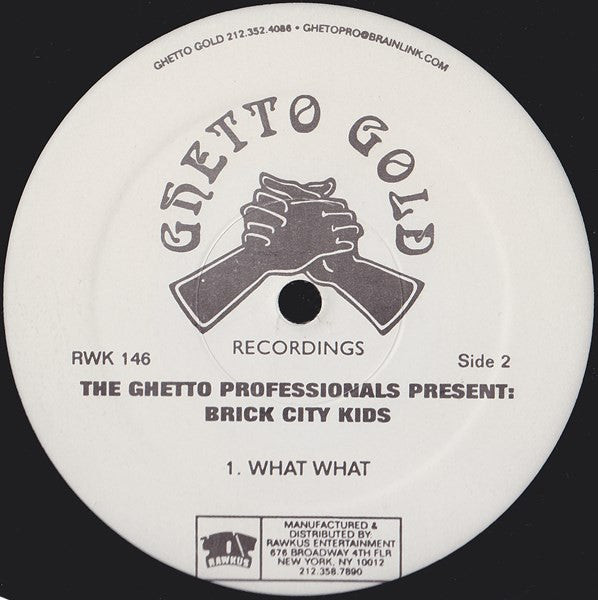 The Ghetto Professionals Present: Brick City Kids ~ Brick City Kids (Vinyl) - Djungel & Jazz