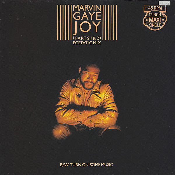 Marvin Gaye : Joy (Parts 1 & 2) Ecstatic Mix / Turn On Some Music (12", Maxi)