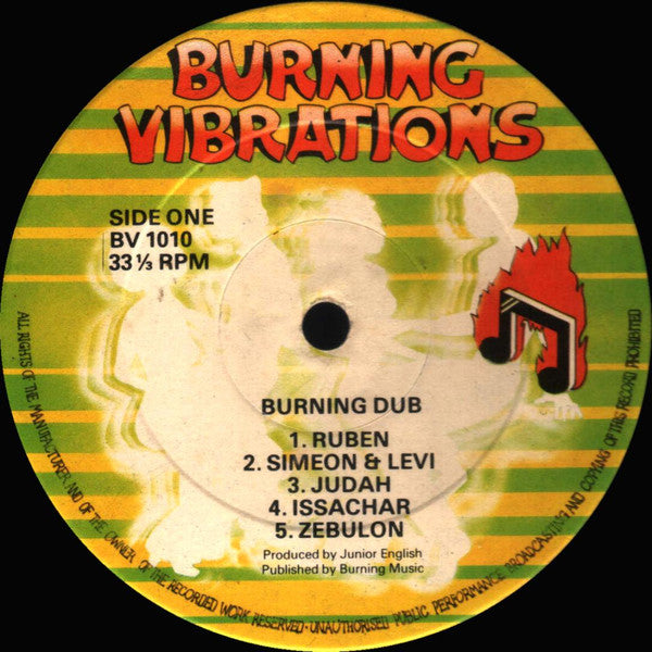 The Revolutionaries : Burning Dub (LP, Album)