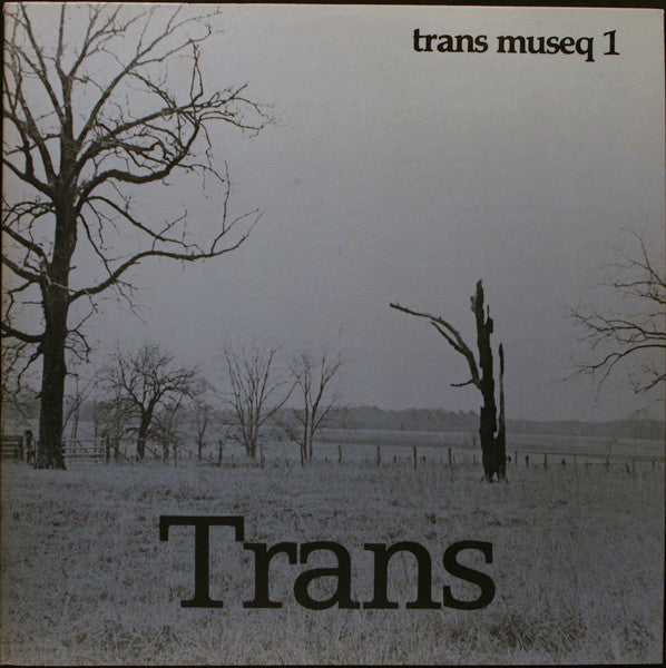 Transcendprovisation ~ Trans (Vinyl) - Djungel & Jazz